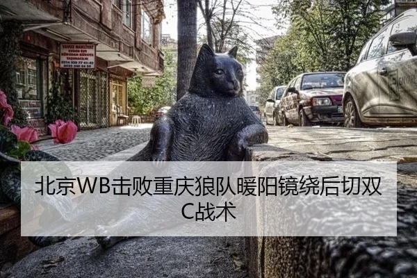 bei-jing-ji-bai-chong-qing-lang-dui-nuan-yang-jing-rao-hou-qie-shuang-zhan-shu-3-931.jpg